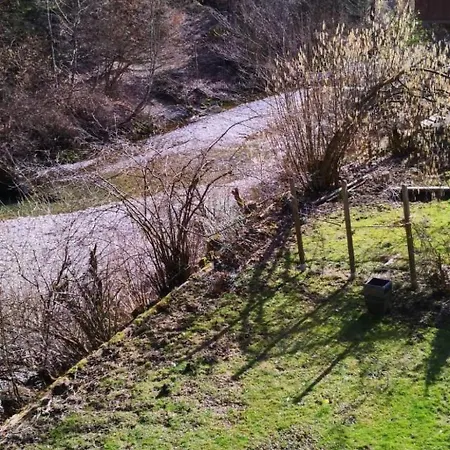 Karotte By Interhome * Trub