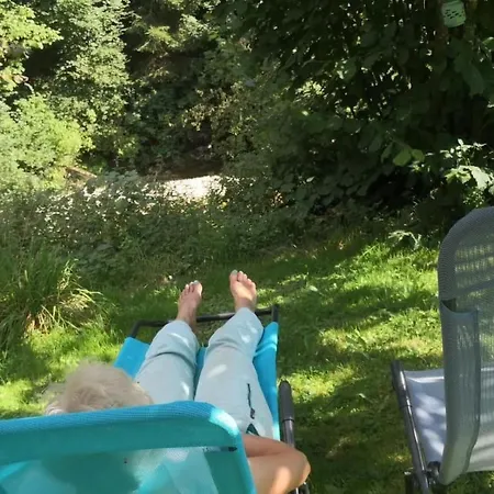 Karotte By Interhome Appartement Trub