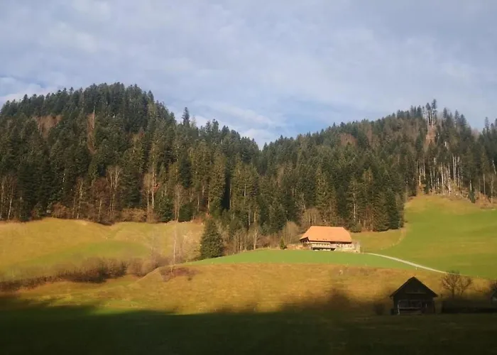 Appartement Karotte By Interhome Trub