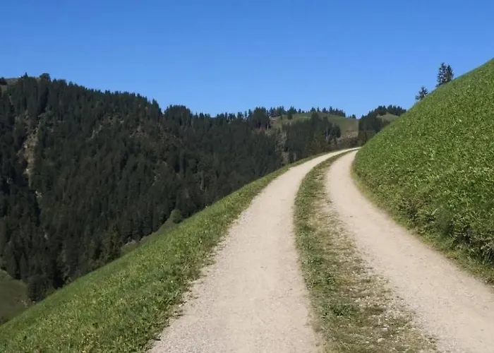 Karotte By Interhome