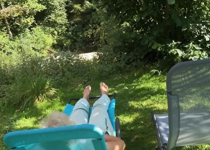 Karotte By Interhome Appartement Trub